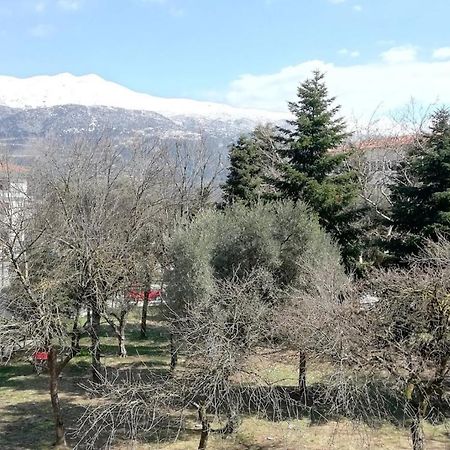 شقة Gks Park View يانينة المظهر الخارجي الصورة